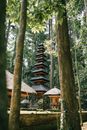 Brown Wooden House in the Middle of the Forest