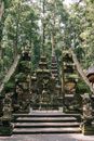 巴厘岛桑格猴森林中，古老寺庙的大门景色迷人，四周环绕着郁郁葱葱的绿植