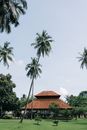 Green Palm Trees Near Brown House