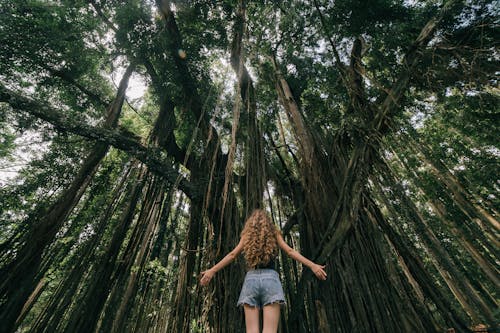 A Person Standing Beside a Tall Sequoia Tree