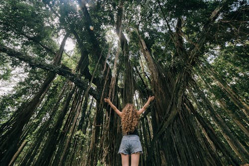 Back View of a Woman Standing Beside the Tree