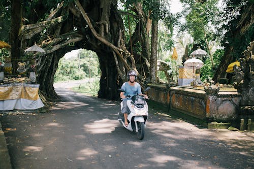 Kostnadsfri bild av äventyr, banyan tree, cyklist