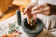 Person Holding Green Plant in Gray Pot