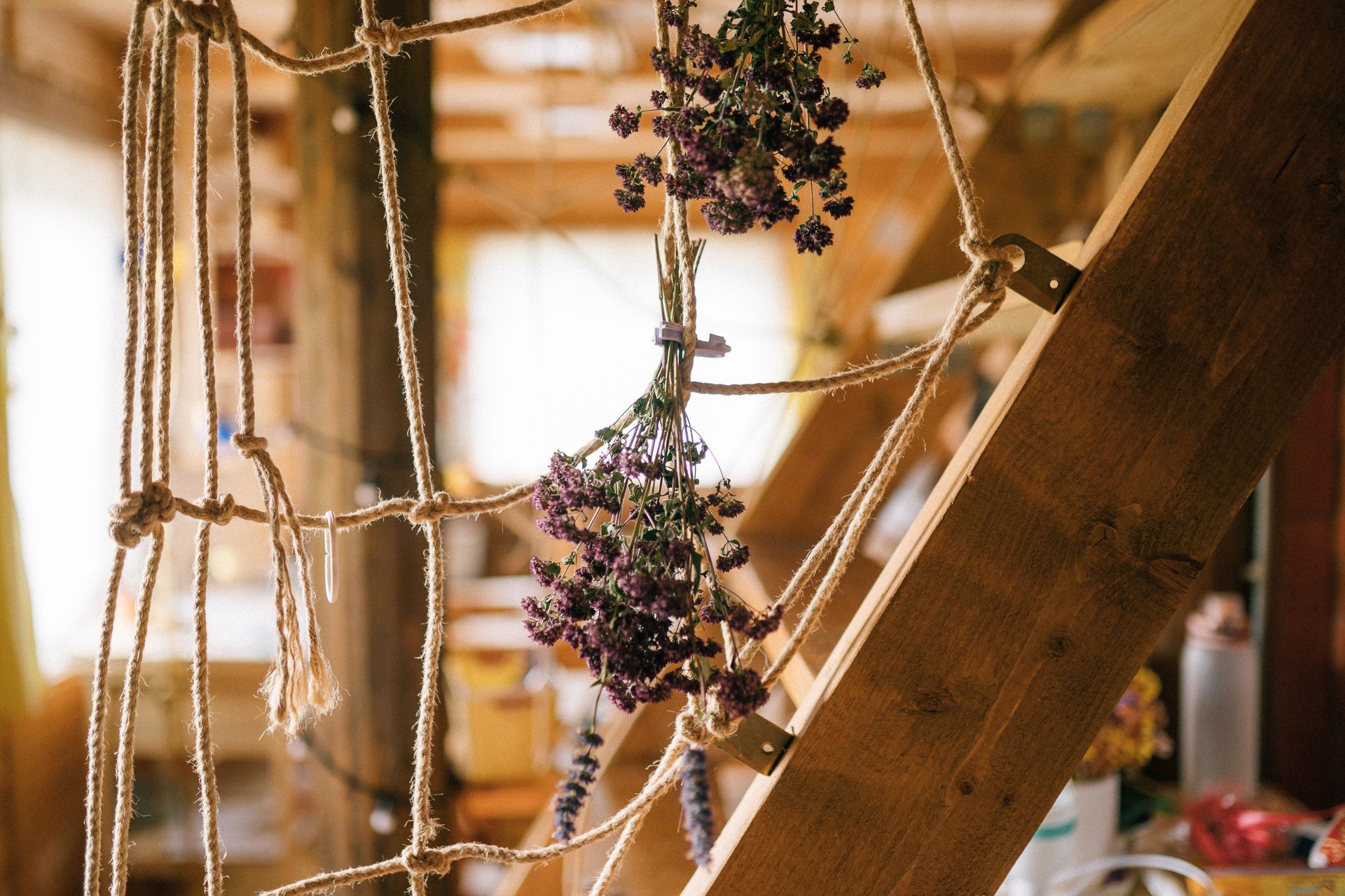 A cozy indoor space showcasing dried herbs suspended on rope, adding a rustic charm.