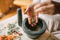 Person Holding Green Plant on Gray Concrete Pot