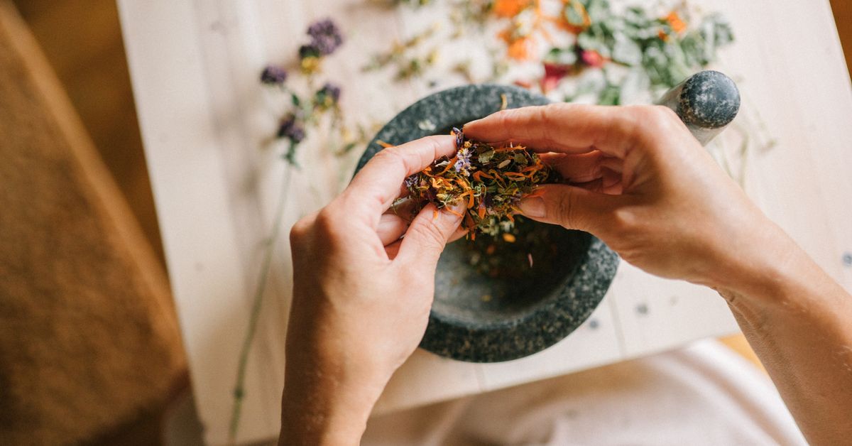 Dried herbs and botanicals on a surface