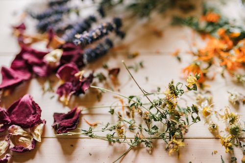 Free Colorful dried flowers scattered creatively on a wooden table, showcasing natural beauty. Stock Photo