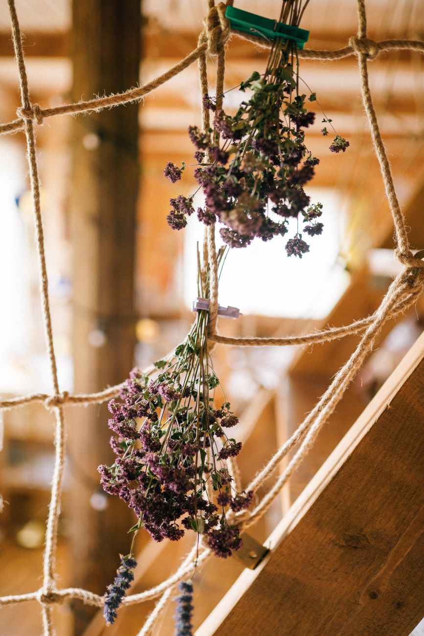 Bunches of herbs hanging to dry on ropes in a rustic wooden drying room.