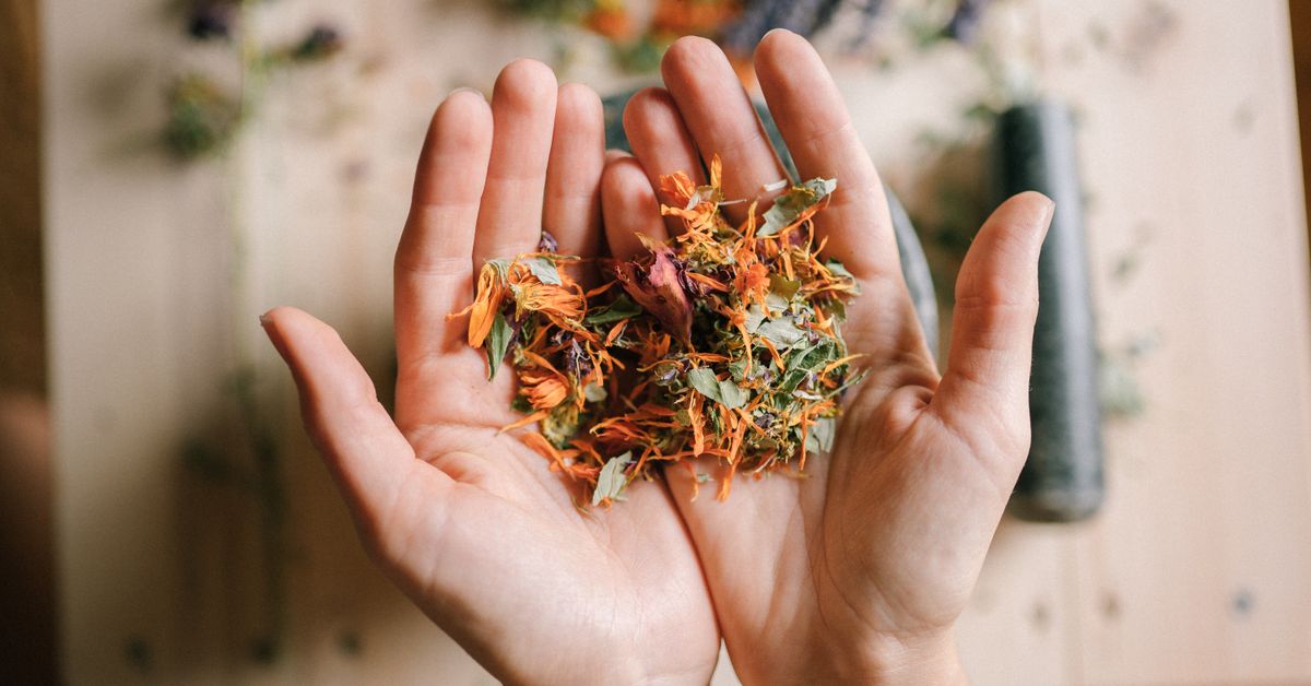 Dried herbs and botanicals on a surface
