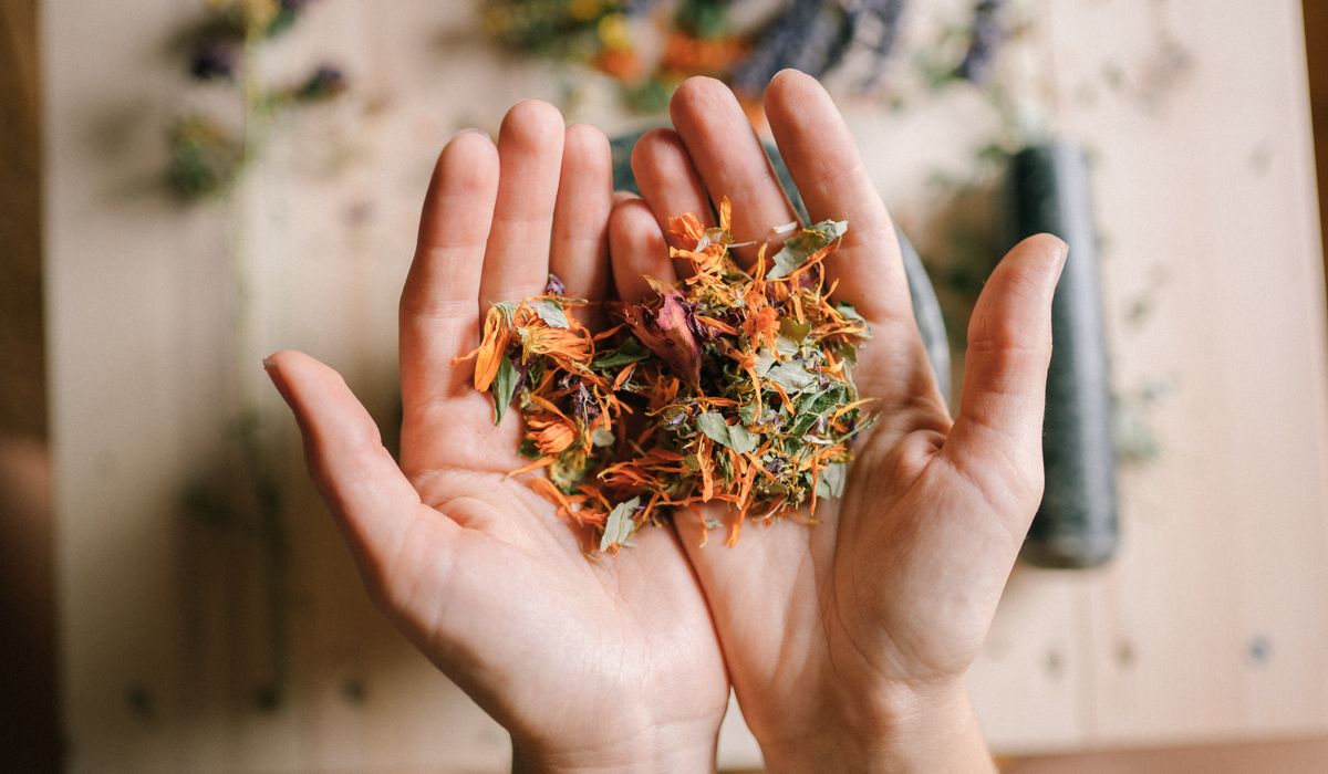 astragale posologie et dosage