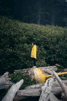 一个身穿黄色雨衣的人站在浮木与落叶之间，营造出宁静的户外景象