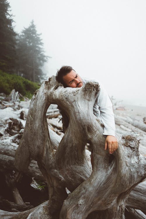 Relaxed man with beard standing on shore with head on wooden stump near green trees in foggy weather in nature