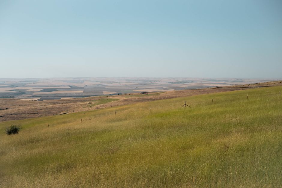 Picturesque scenery of hill covered with grass located against cloudless sky in nature with agricultural fields in distance in countryside