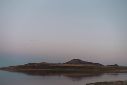 在宁静的早晨，这座风景如画的岛屿坐落于平静的海面之上，靠近海岸，四周是乡村的自然风光，天空万里无云