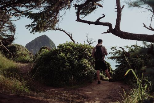 Free Back view of anonymous male traveler with backpack standing on top of mountain near green bush with rocky cliff in distance in nature Stock Photo