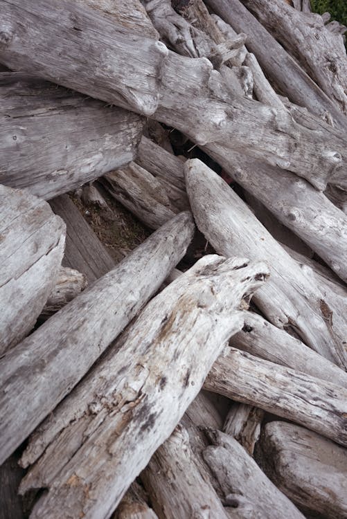 Full frame background of dry logs of wood in gray color arranged in heap