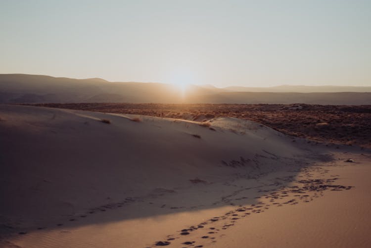 Lonely Desert With Sand Dunes In Sunset