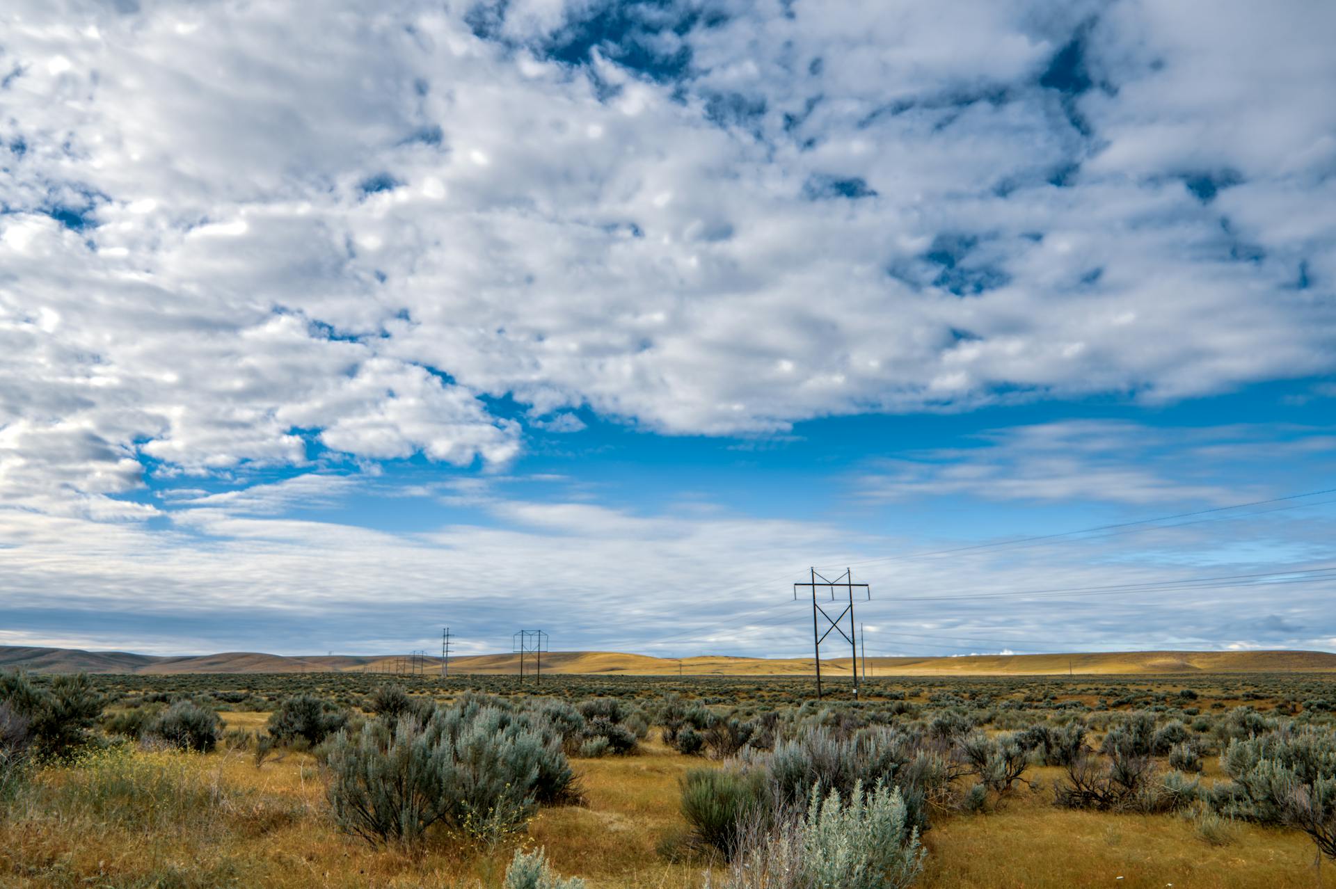 Scenery view of endless valley with low shrubs and metal post providing electricity
