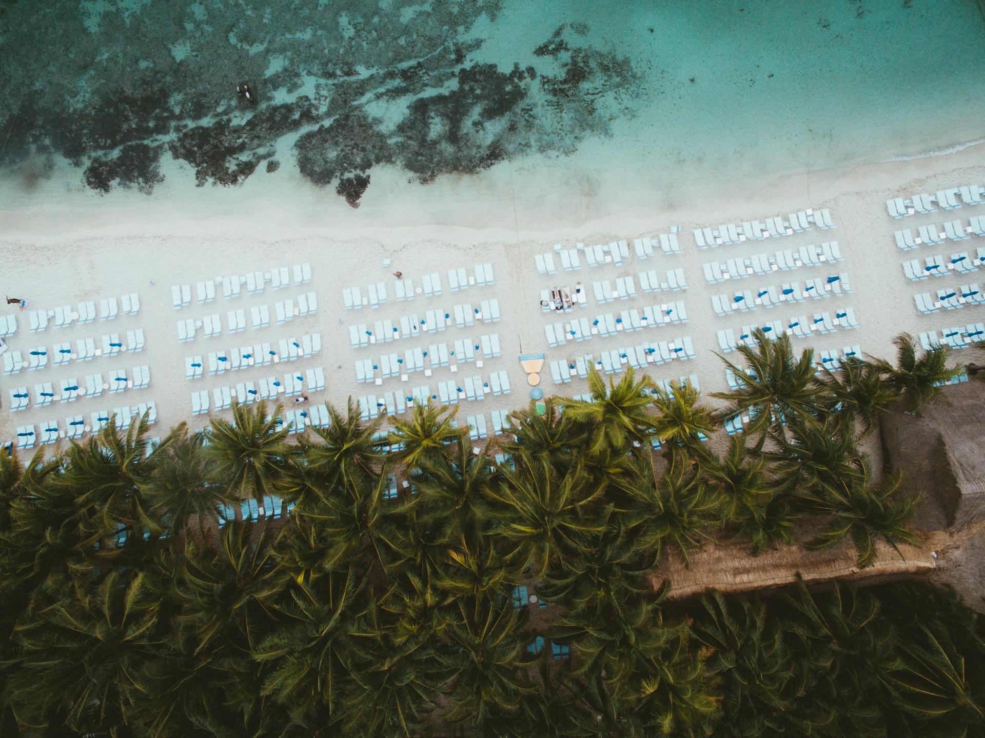 Aerial landscape of tropical palms on sandy beach with rows of sunbeds and turquoise waves