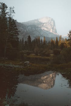 Peaceful lake reflecting mountains and forest, creating a serene natural landscape.