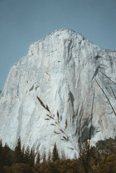 Low angle of huge steep rocky cliff rising above majestic green forest under blue sky