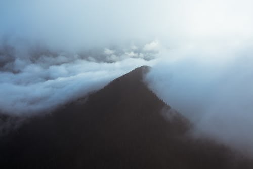 Free From above of lush wood covering high mountain in mist on altitude under cloudy sky Stock Photo