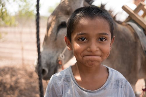 Cheerful ethnic kid pursing lips and looking away while standing near donkey in countryside on farmland with blurred background on sunny day