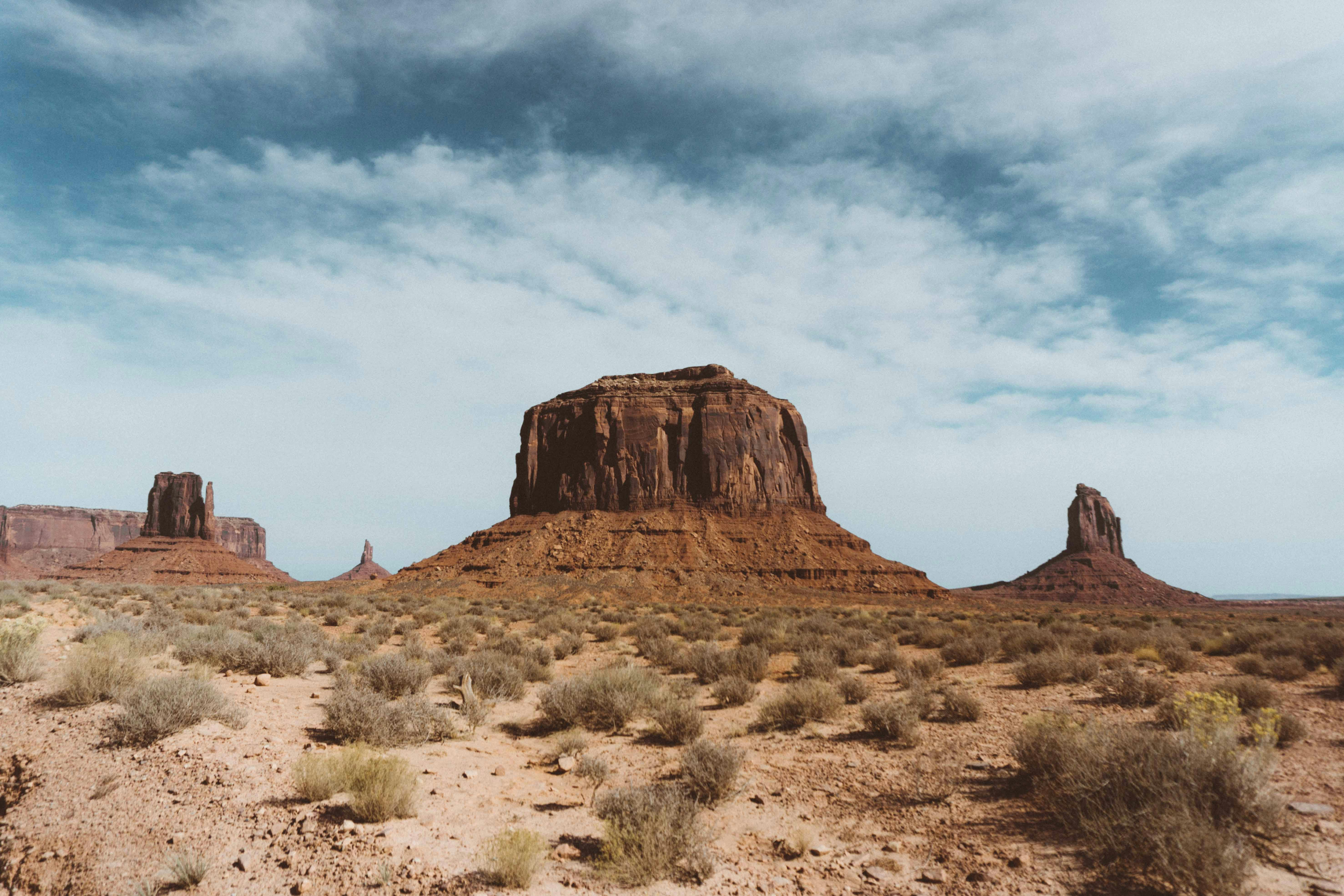 rocky formations in desert with bushes