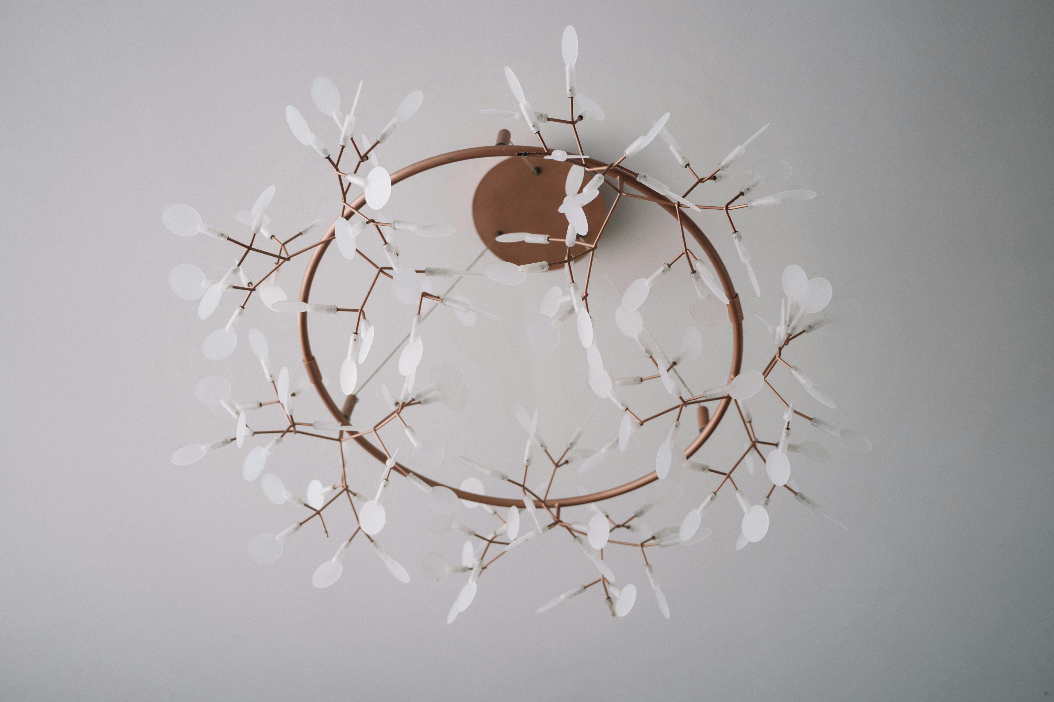 Ceiling Ornament Photos, Download The BEST Free Ceiling Ornament Stock ...