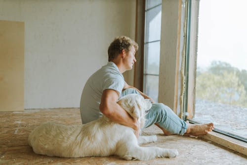 Foto profissional grátis de animais de estimação, animal, animal de estimação