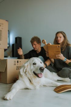 Dog Lying on the Floor with Man and Woman in the Background