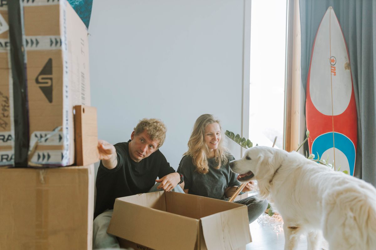 flat moves in Woolwich — Loaded properly: blankets, straps and a plan in Woolwich