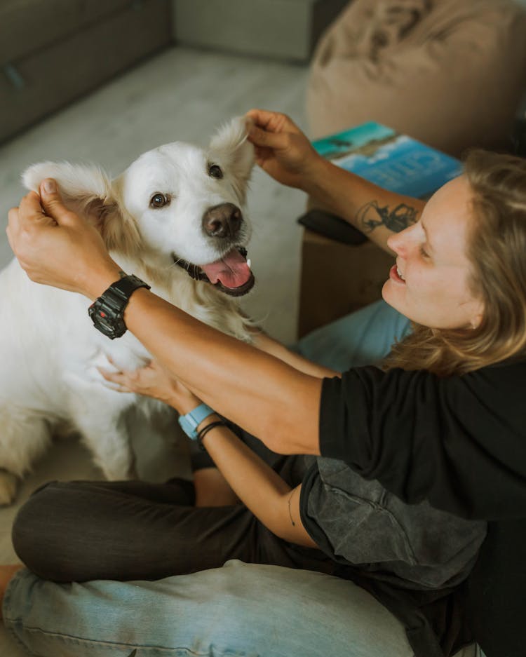 A Couple Playing With Their Dog