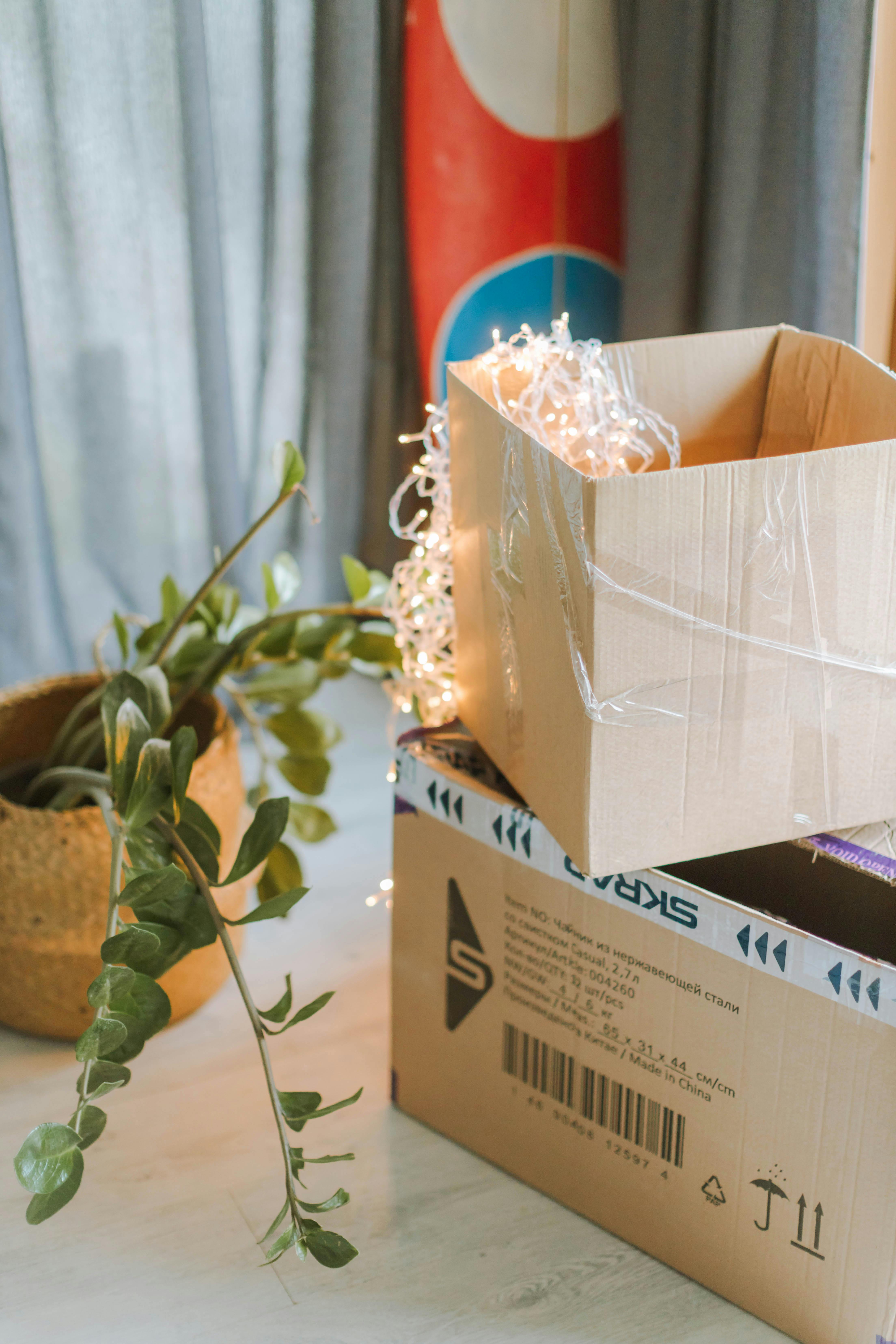 brown cardboard box with green plant