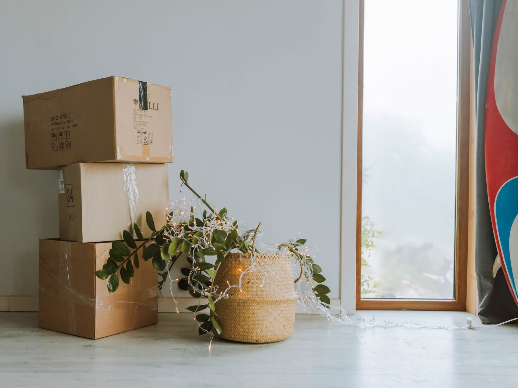 Frognal — professional packers wrapping and boxing belongings