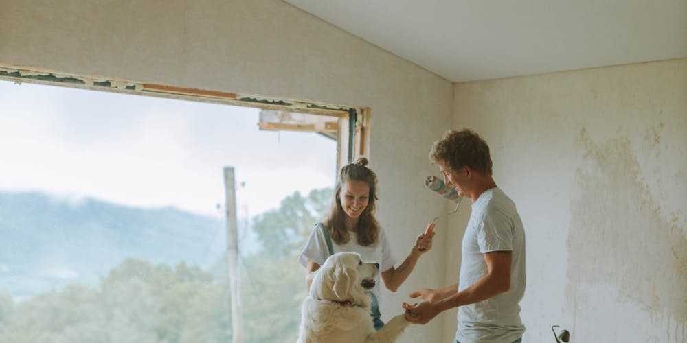 How to Groom Your Dog at Home