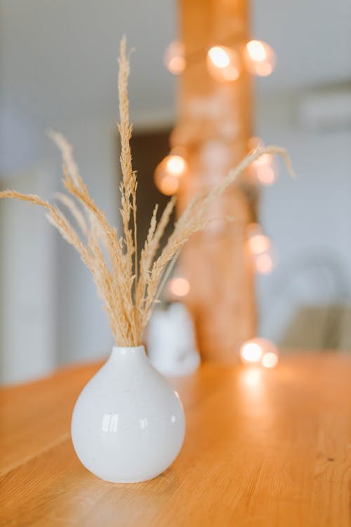 Brown Plant in White Ceramic Vase on Brown Wooden Table