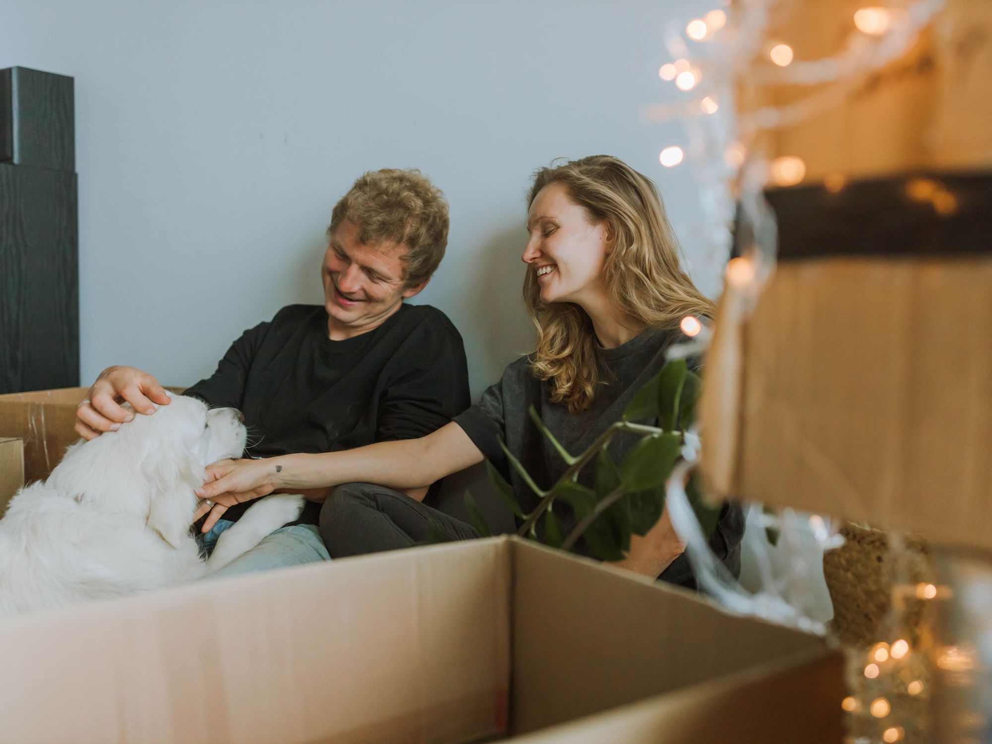 Student Removals in Kinross, Scotland — student move with boxes and a van