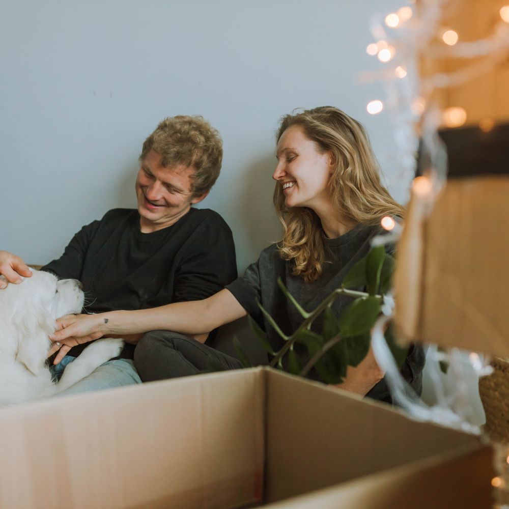 Golspie — student move with boxes and a van