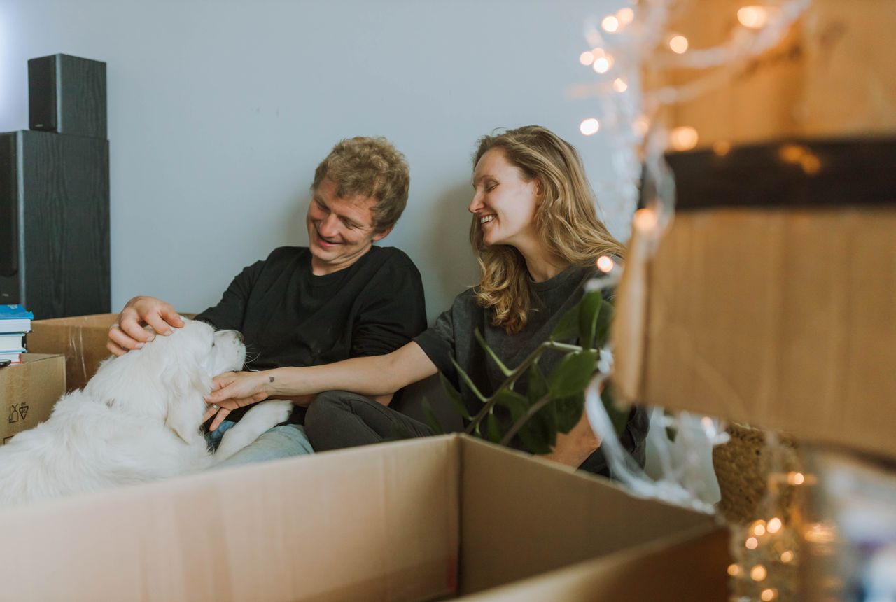 House removals Islington — removals work in progress