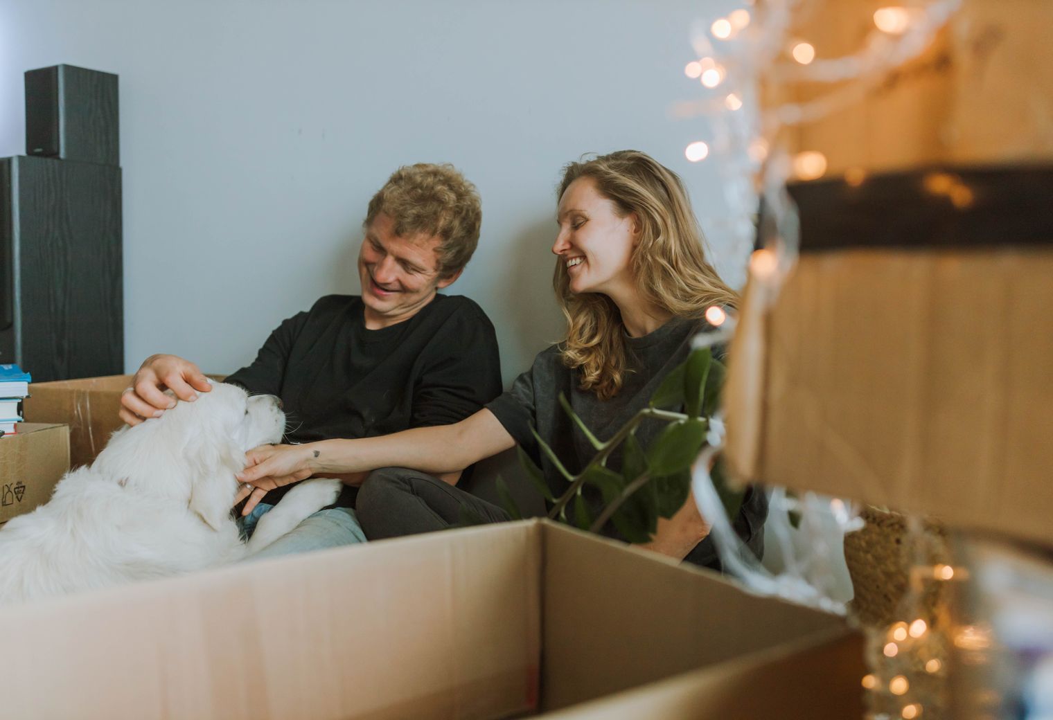 Levens — movers carrying boxes for a flat move