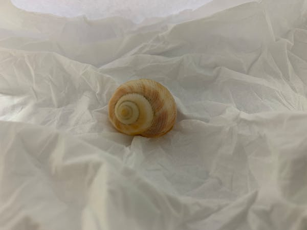 Установка замка