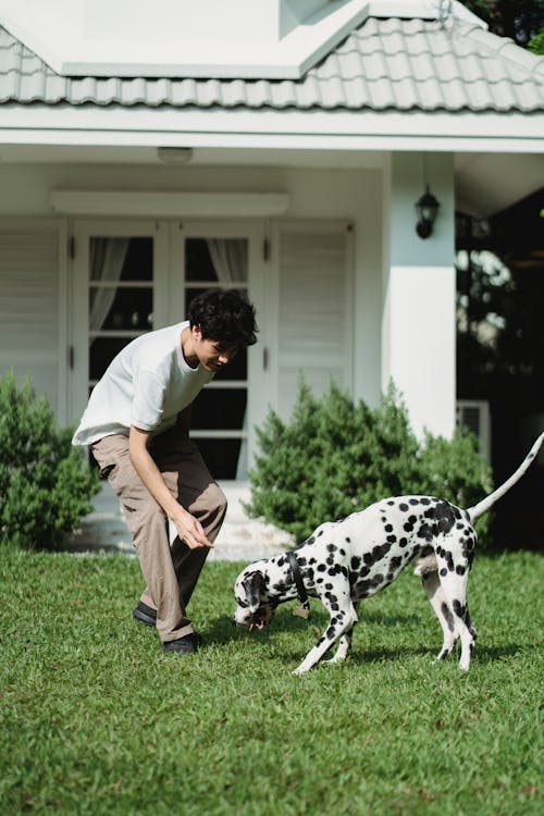 Free A Man With His Pet Dog  Stock Photo