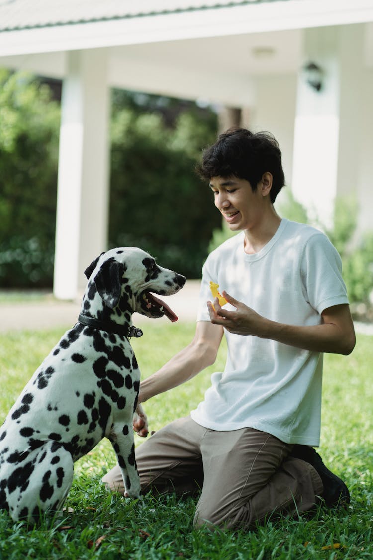 A Man Holding A Toy In Front Of A Dog 