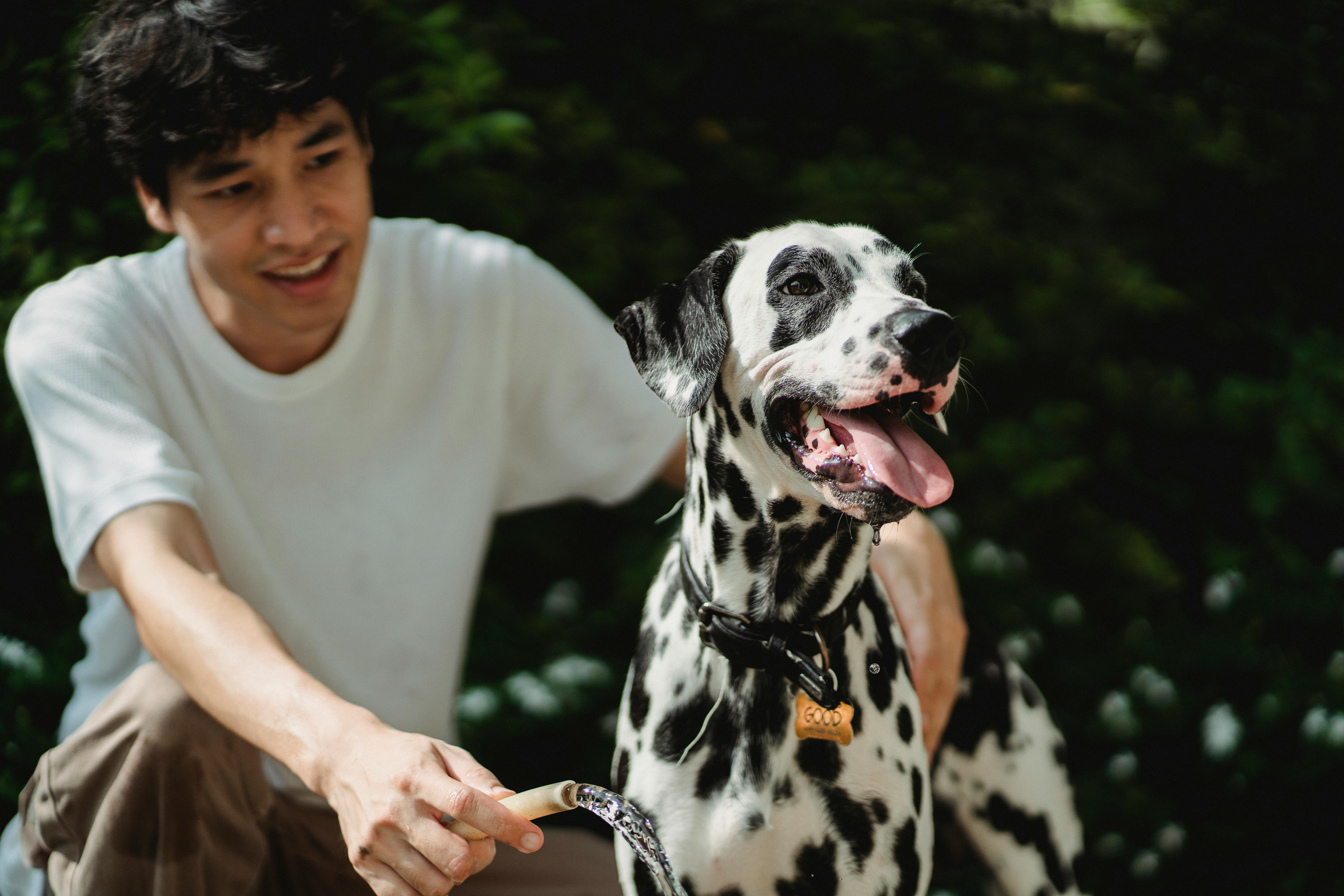 pet lifestyle pets lifestyle — Photo by Bethany Ferr on Pexels