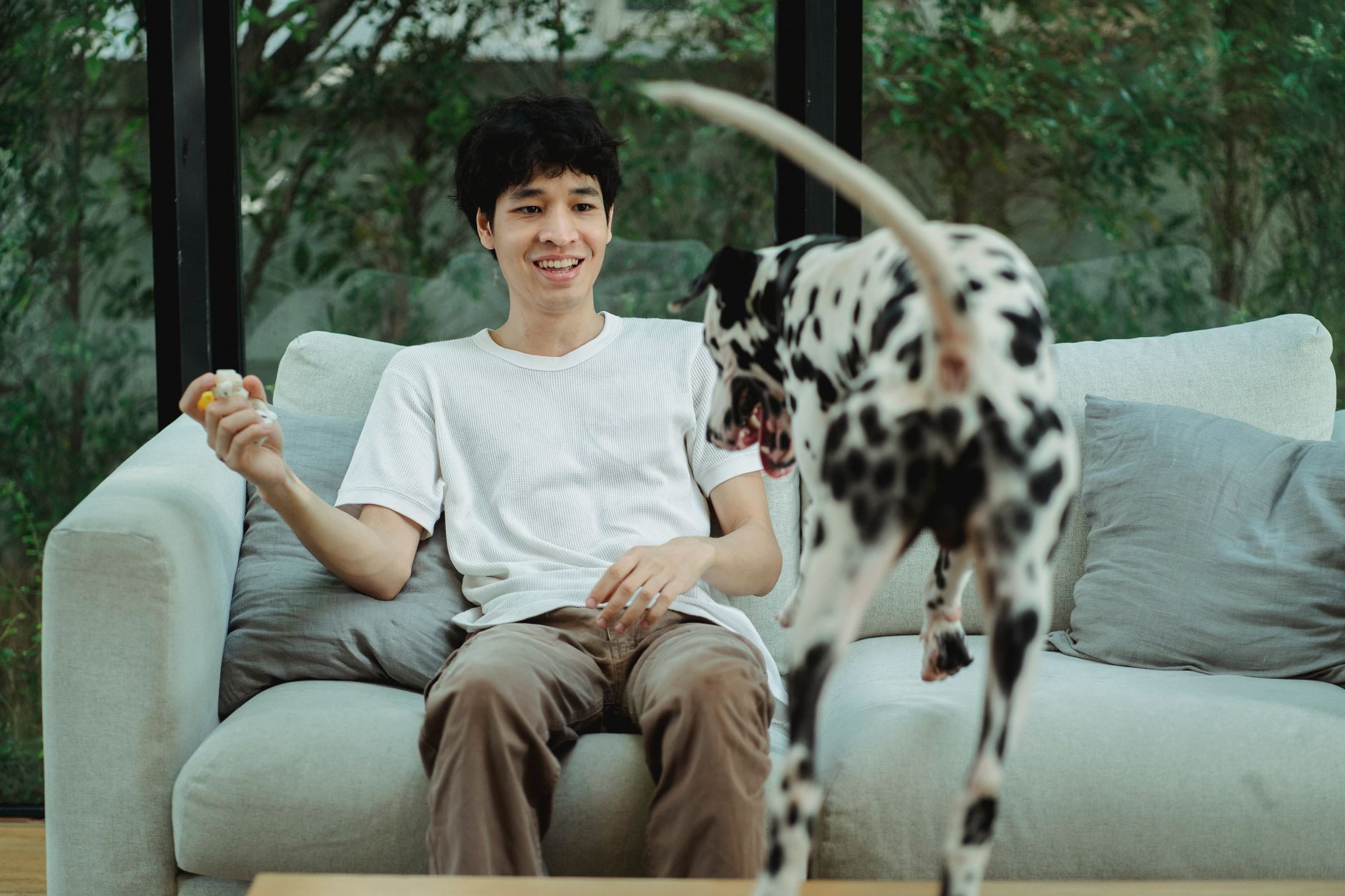 A man playing with a Dalmatian dog in a cozy living room setting.