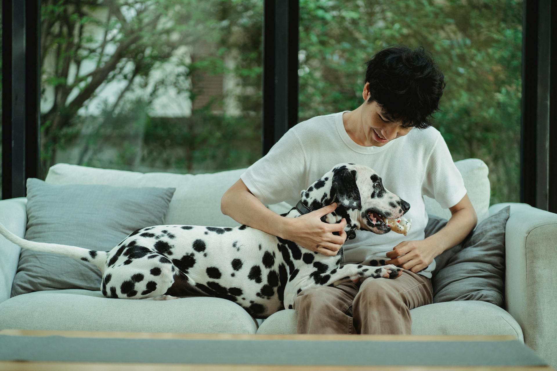 Man with Dalmatian on Sofa