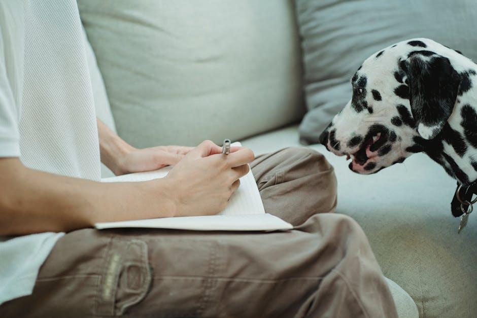 Spot vs Lemonade: Hereditary Coverage Showdown Person writing on a sofa with a curious Dalmatian nearby, indoors in a cozy setting.