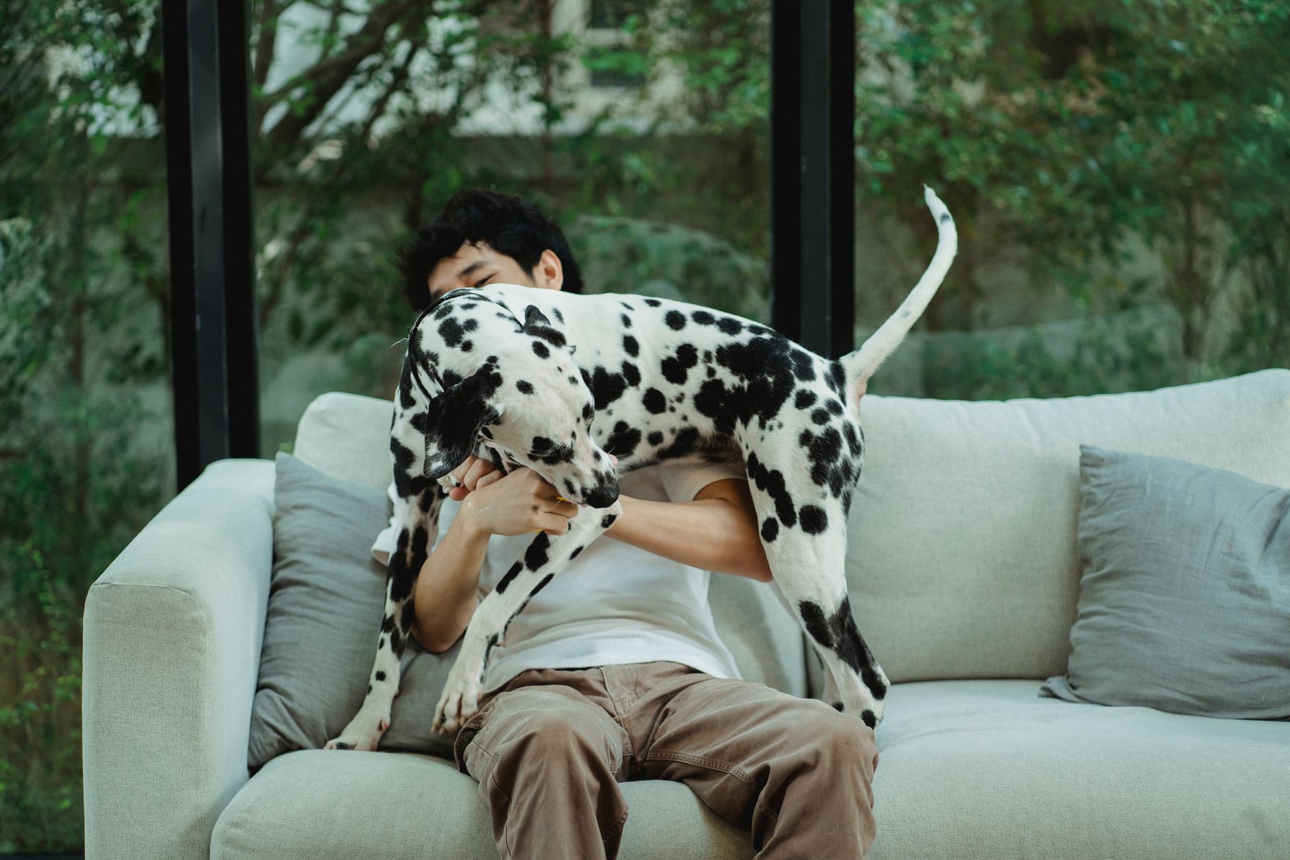 Person sitting with a dog and watching them carefully