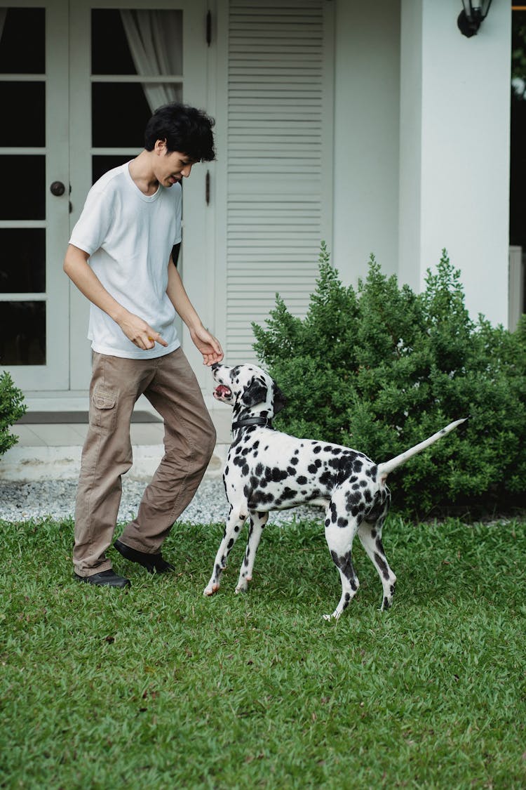 A Man With A Dog In A Yard